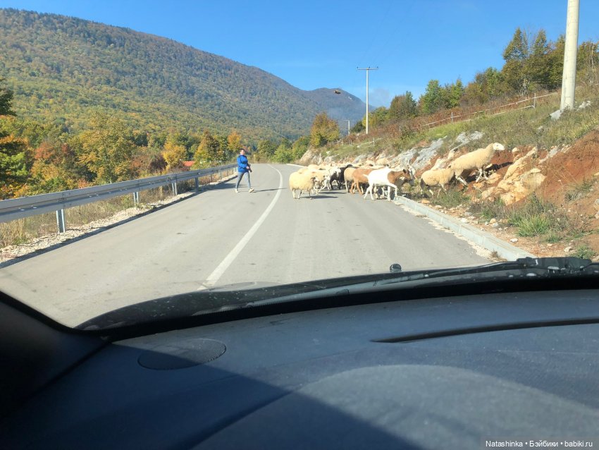 Fashion Dolls 269 — Болталка и разговоры обо всем: жизнь