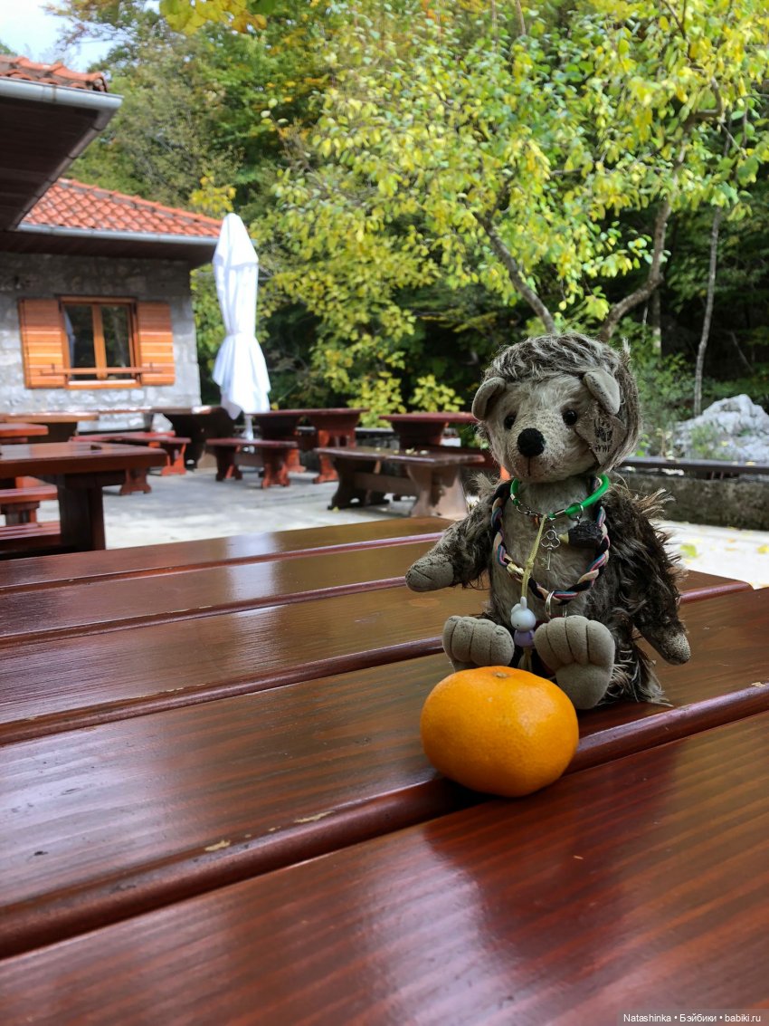 Fashion Dolls 269 — Болталка и разговоры обо всем: жизнь