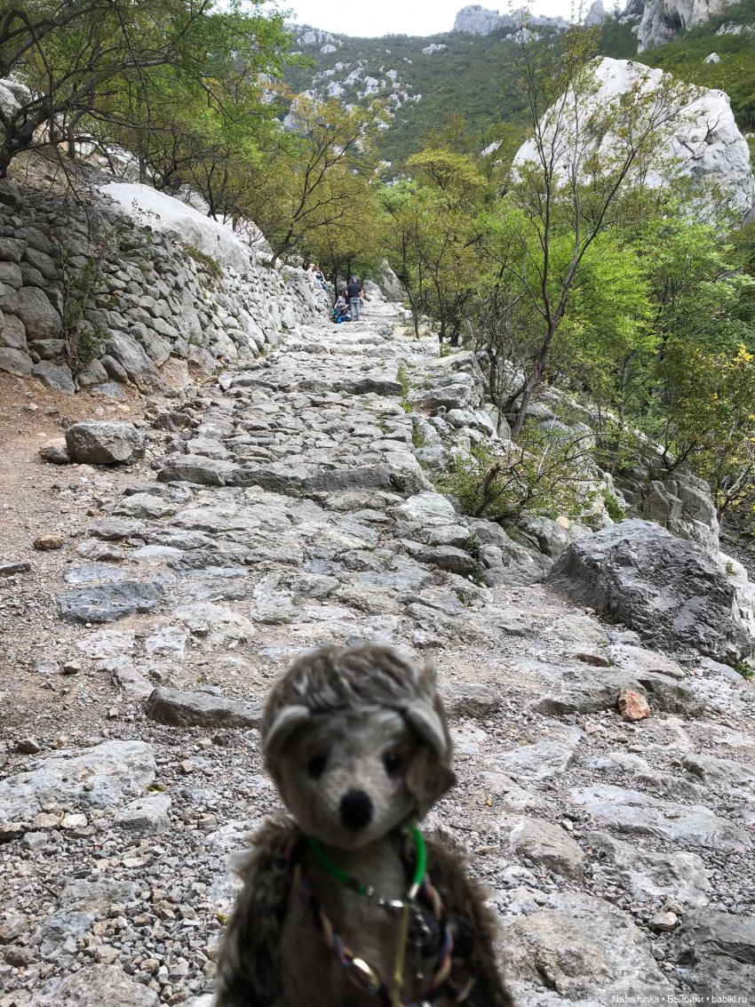 Fashion Dolls 269 — Болталка и разговоры обо всем: жизнь