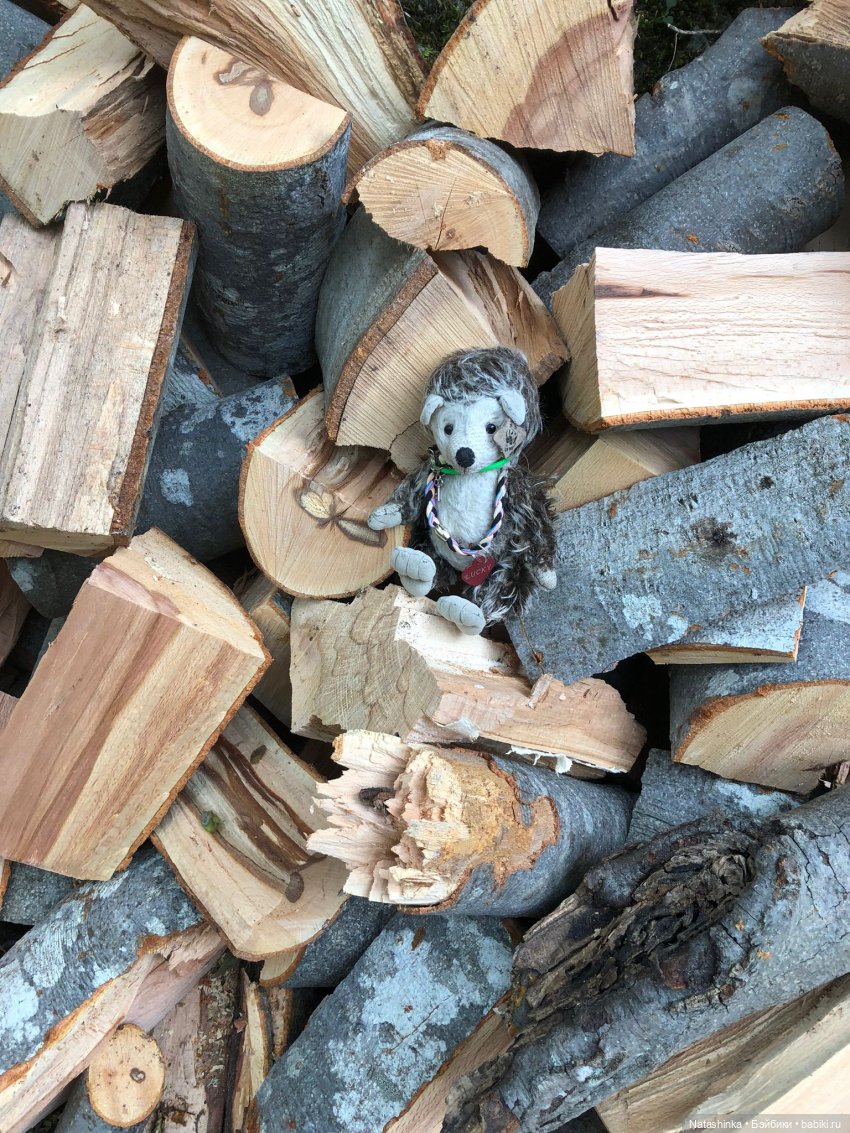 Fashion Dolls 269 — Болталка и разговоры обо всем: жизнь