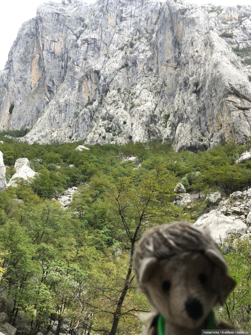 Fashion Dolls 269 — Болталка и разговоры обо всем: жизнь