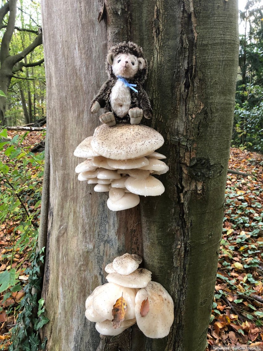 Fashion Dolls 281 — Туризм и путешествия: фотоотчеты из поездок (фото 4)