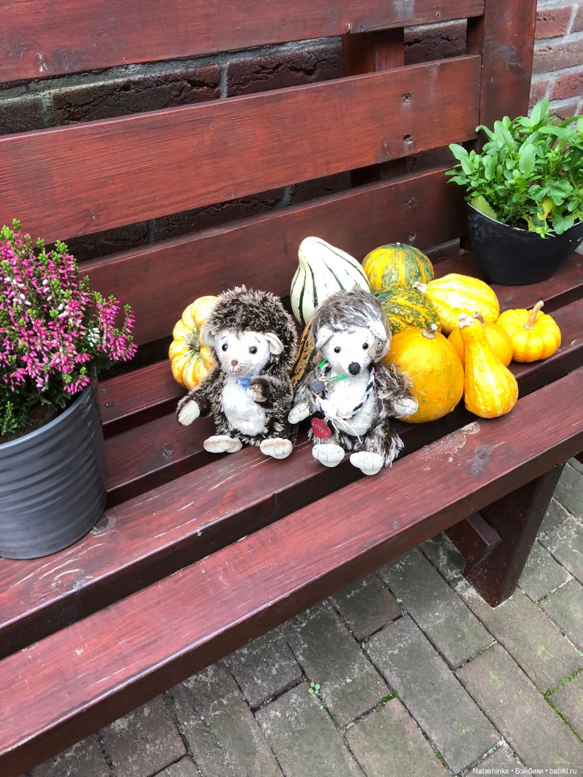 Fashion Dolls 281 — Туризм и путешествия: фотоотчеты из поездок (фото 2)