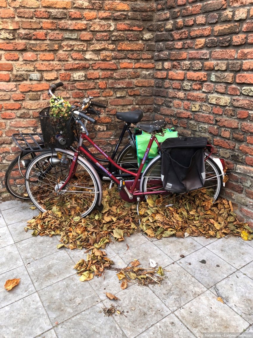 Fashion Dolls 284 — Болталка и разговоры обо всем: жизнь (фото 5)