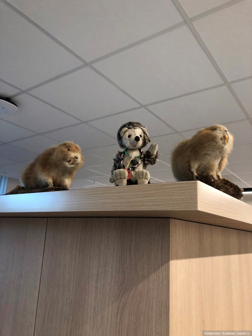 Fashion Dolls 284 — Болталка и разговоры обо всем: жизнь