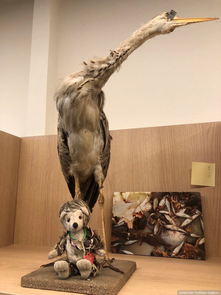 Fashion Dolls 284 — Болталка и разговоры обо всем: жизнь