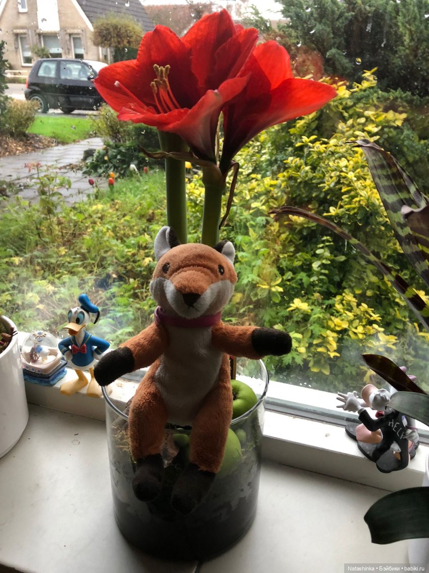 Fashion Dolls 288 — Туризм и путешествия: фотоотчеты из поездок