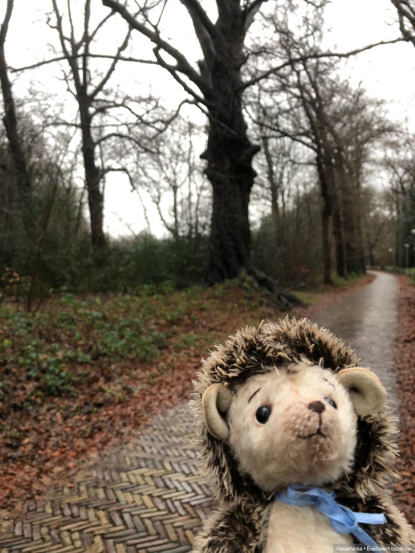 Fashion Dolls 301 — Болталка и разговоры обо всем: жизнь (фото 2)