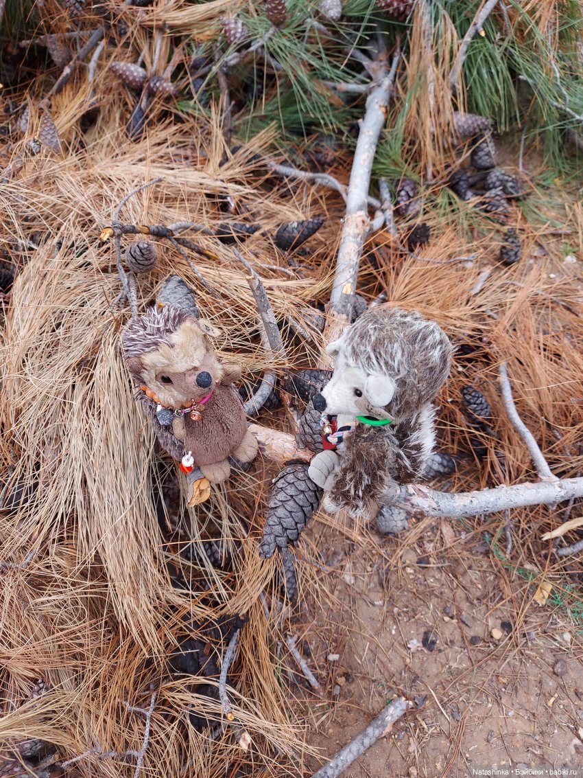 Fashion Dolls 319 — Туризм и путешествия: фотоотчеты из поездок (фото 8)