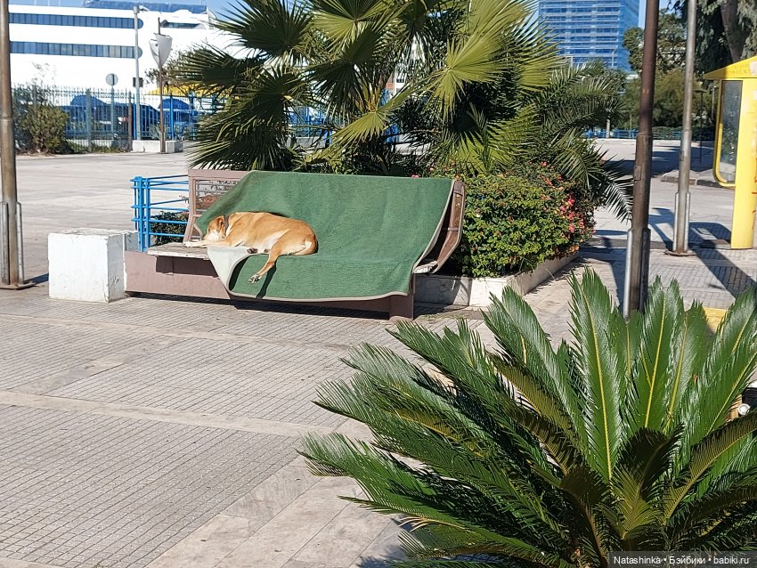 Fashion Dolls 320 — Туризм и путешествия: фотоотчеты из поездок (фото 8)