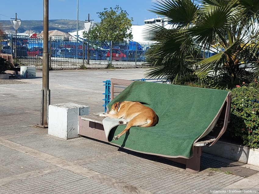 Fashion Dolls 320 — Туризм и путешествия: фотоотчеты из поездок (фото 9)