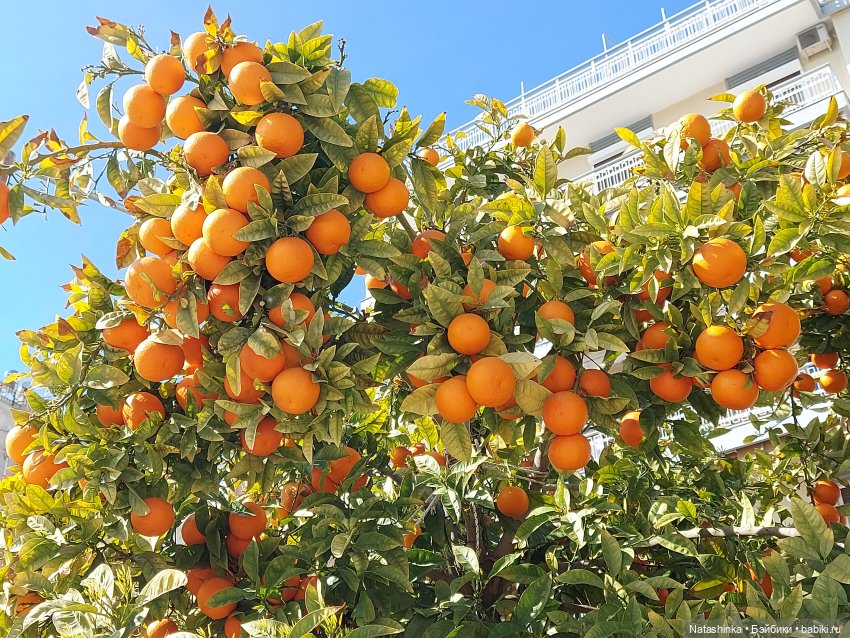 Fashion Dolls 320 — Туризм и путешествия: фотоотчеты из поездок (фото 5)