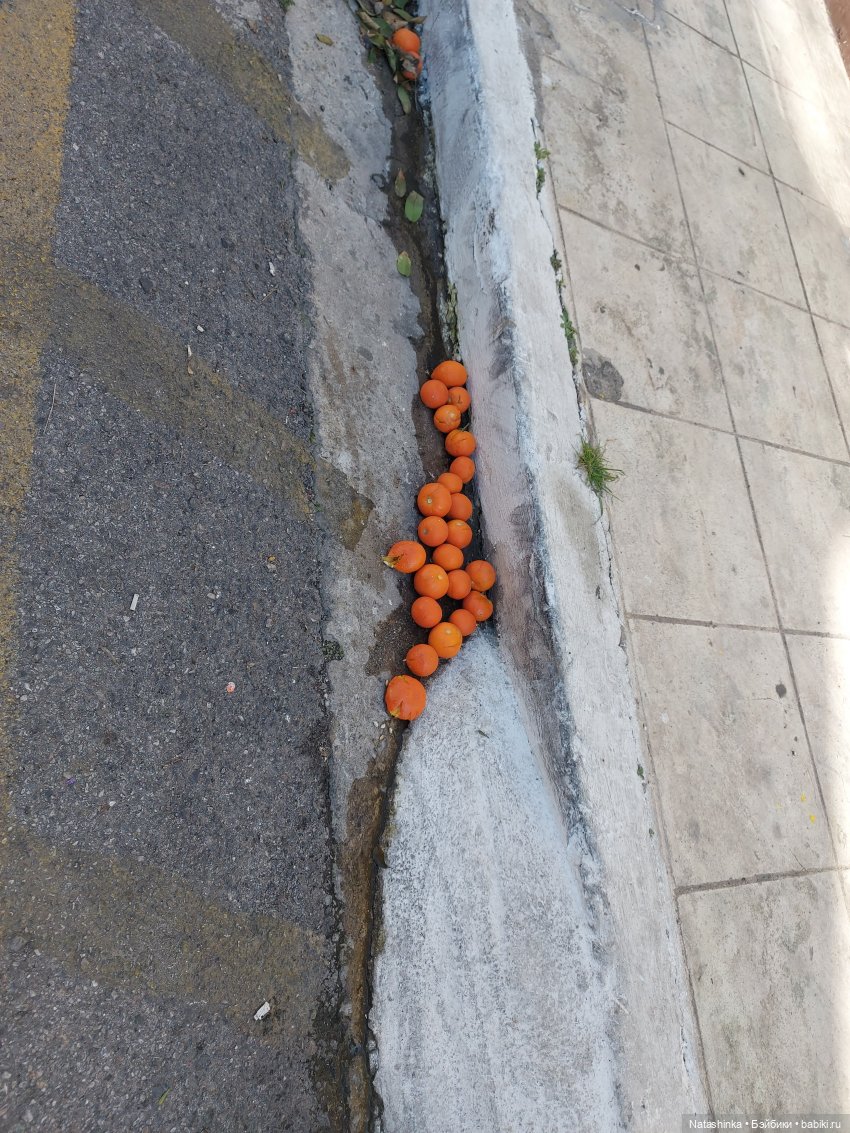 Fashion Dolls 320 — Туризм и путешествия: фотоотчеты из поездок (фото 6)