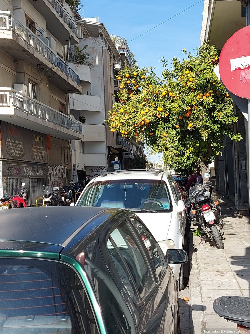 Fashion Dolls 320 — Туризм и путешествия: фотоотчеты из поездок