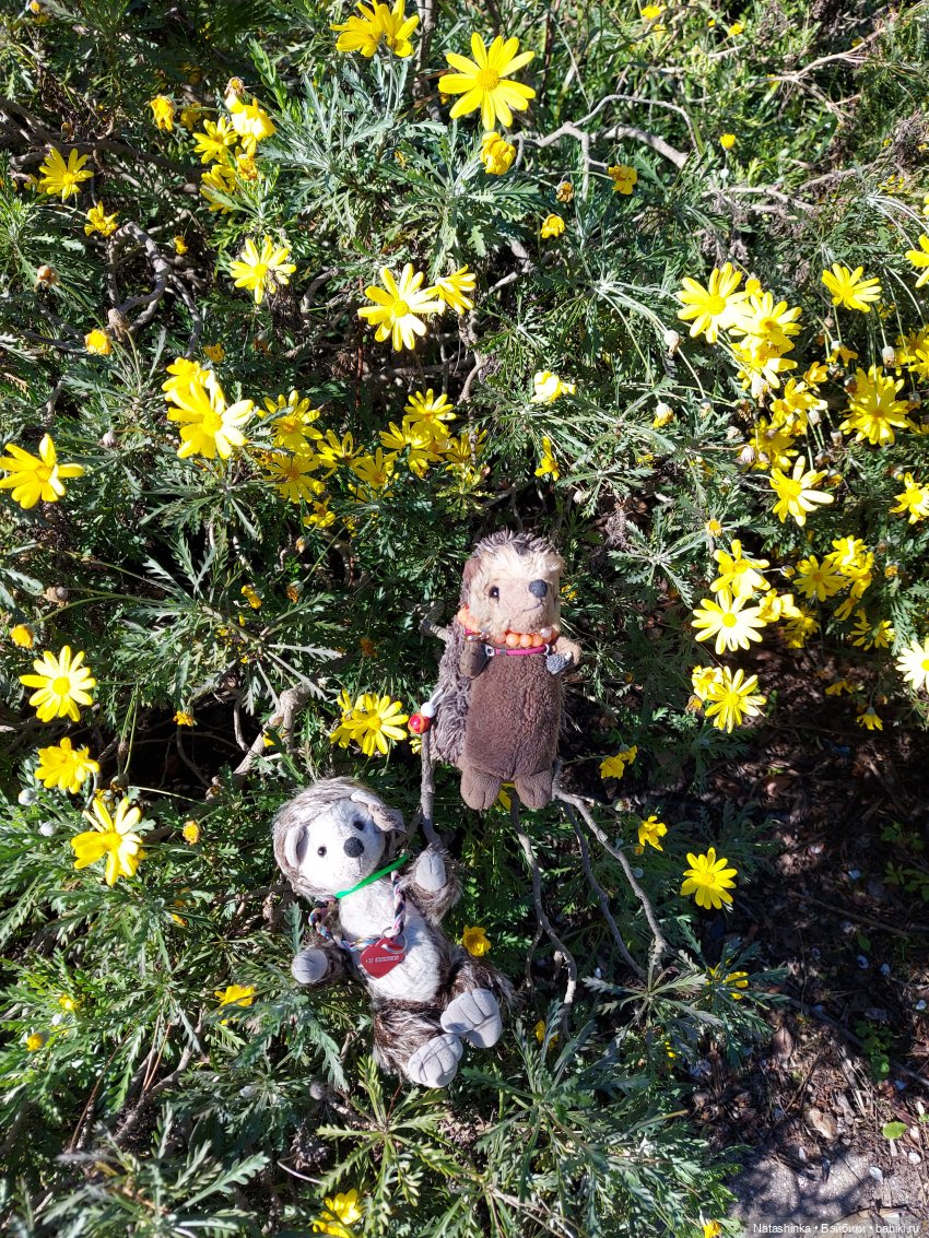 Fashion Dolls 321 — Туризм и путешествия: фотоотчеты из поездок (фото 5)