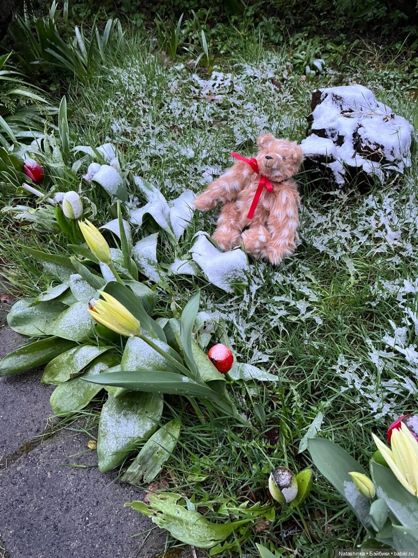 Fashion Dolls 336 — Туризм и путешествия: фотоотчеты из поездок (фото 2)