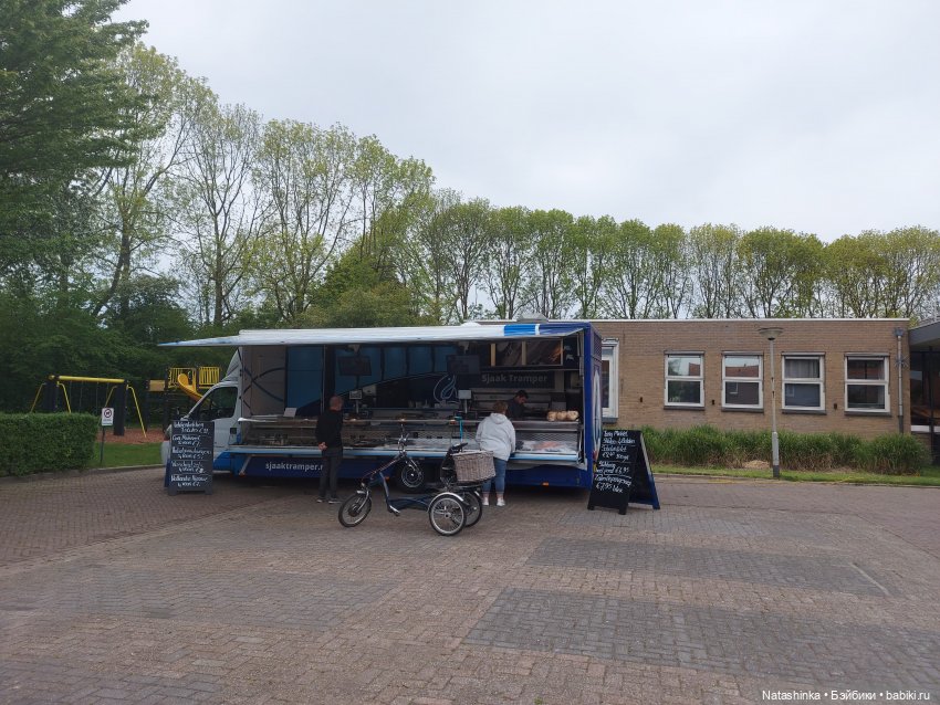 Fashion Dolls 352 — Куклы Звезды подиума (Angel Collection): шарнирные (фото 4)