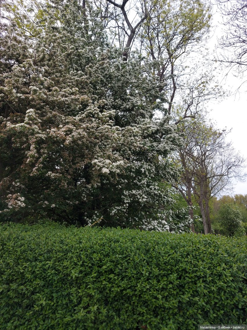 Fashion Dolls 352 — Куклы Звезды подиума (Angel Collection): шарнирные (фото 6)