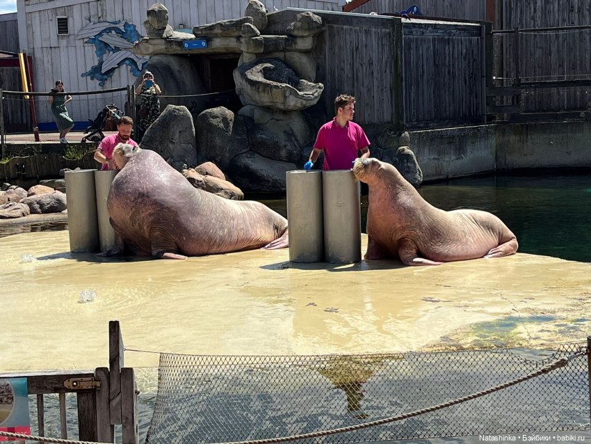 Fashion Dolls 384 — Туризм и путешествия: фотоотчеты из поездок