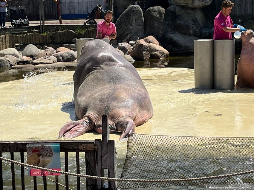 Fashion Dolls 384 — Туризм и путешествия: фотоотчеты из поездок