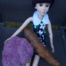Fashion Dolls  387
