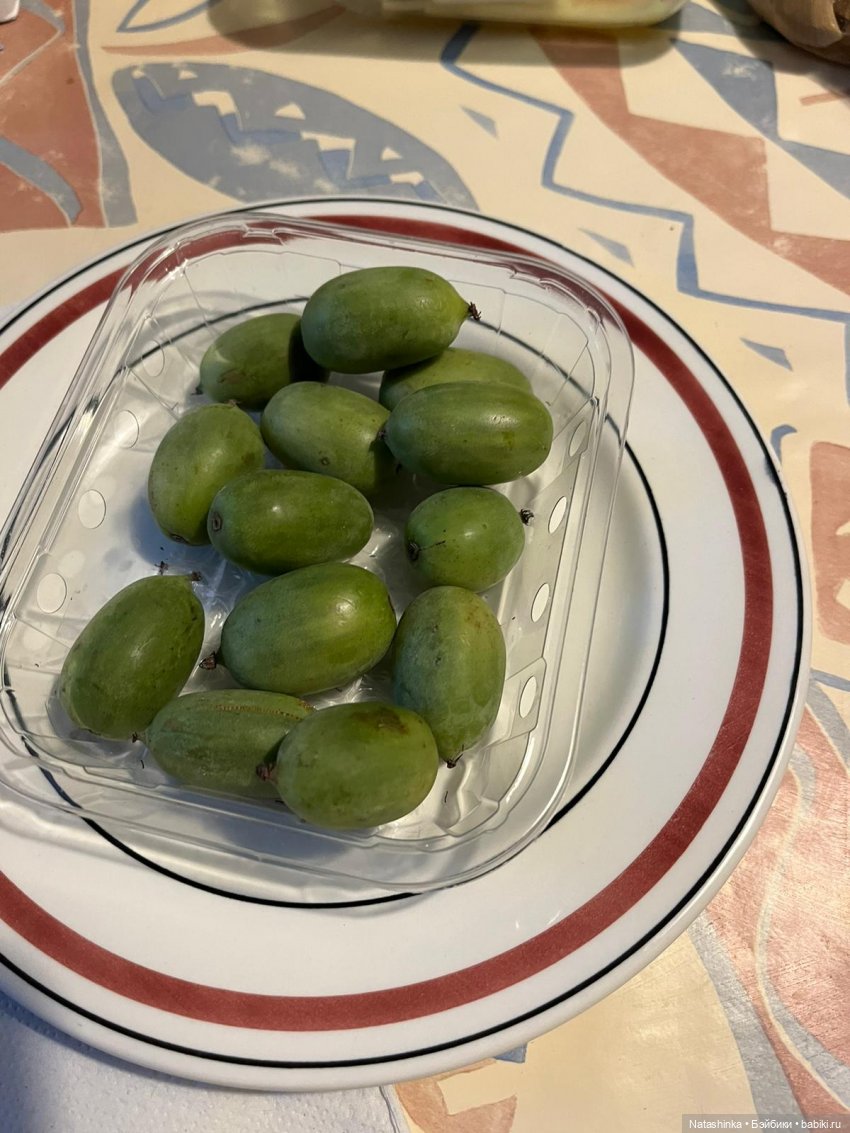 Fashion Dolls 434 — Туризм и путешествия: фотоотчеты из поездок (фото 2)