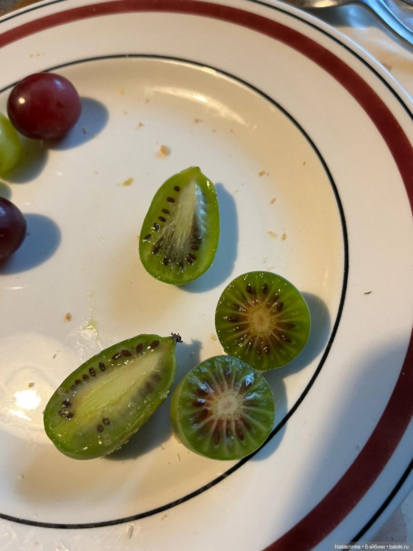 Fashion Dolls 434 — Туризм и путешествия: фотоотчеты из поездок (фото 3)