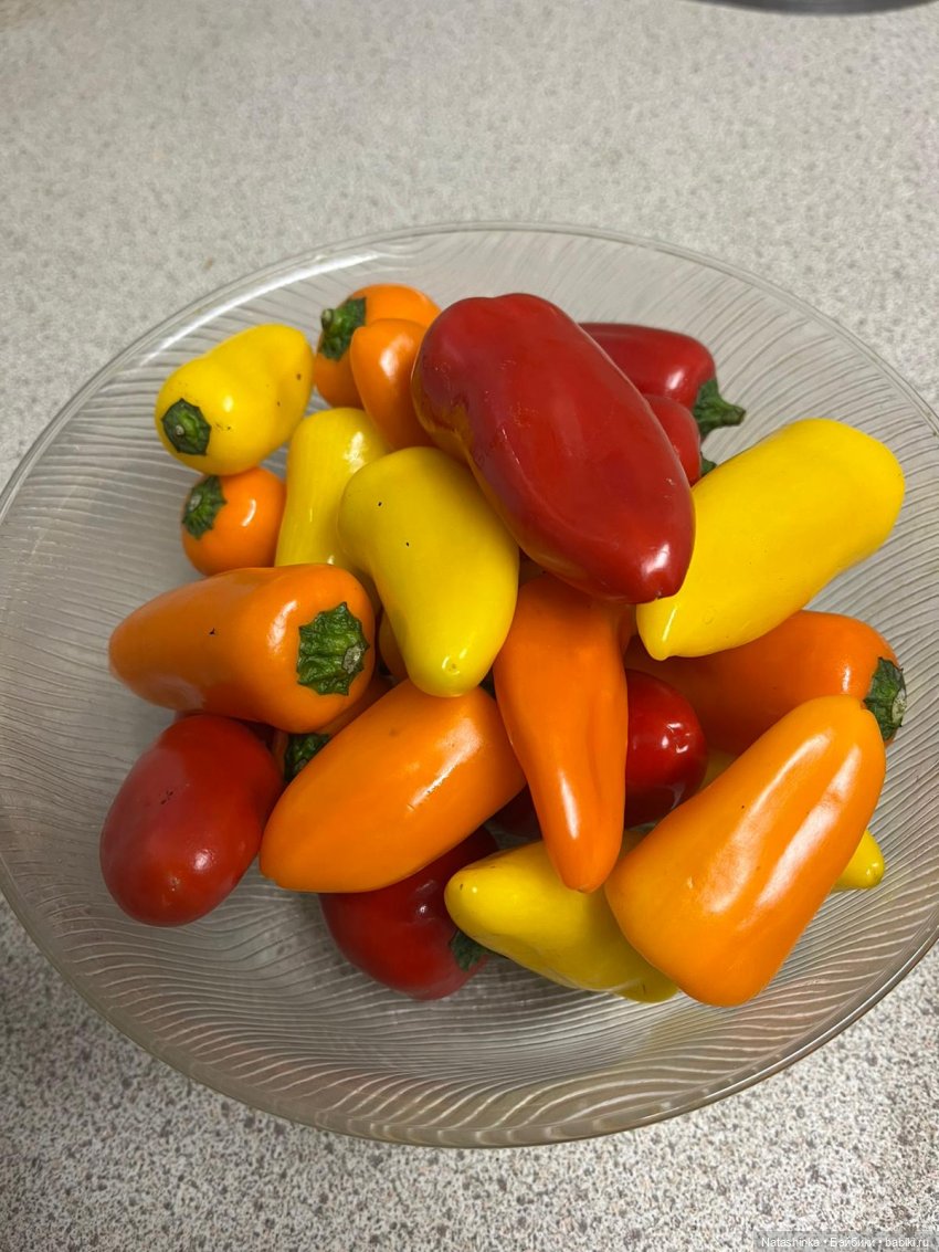 Fashion Dolls 434 — Туризм и путешествия: фотоотчеты из поездок (фото 6)