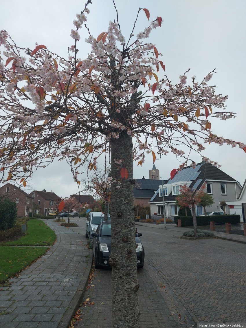 Fashion Dolls 434 — Туризм и путешествия: фотоотчеты из поездок