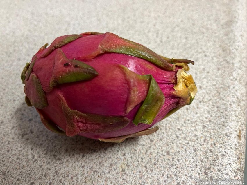 Fashion Dolls 434 — Туризм и путешествия: фотоотчеты из поездок (фото 4)