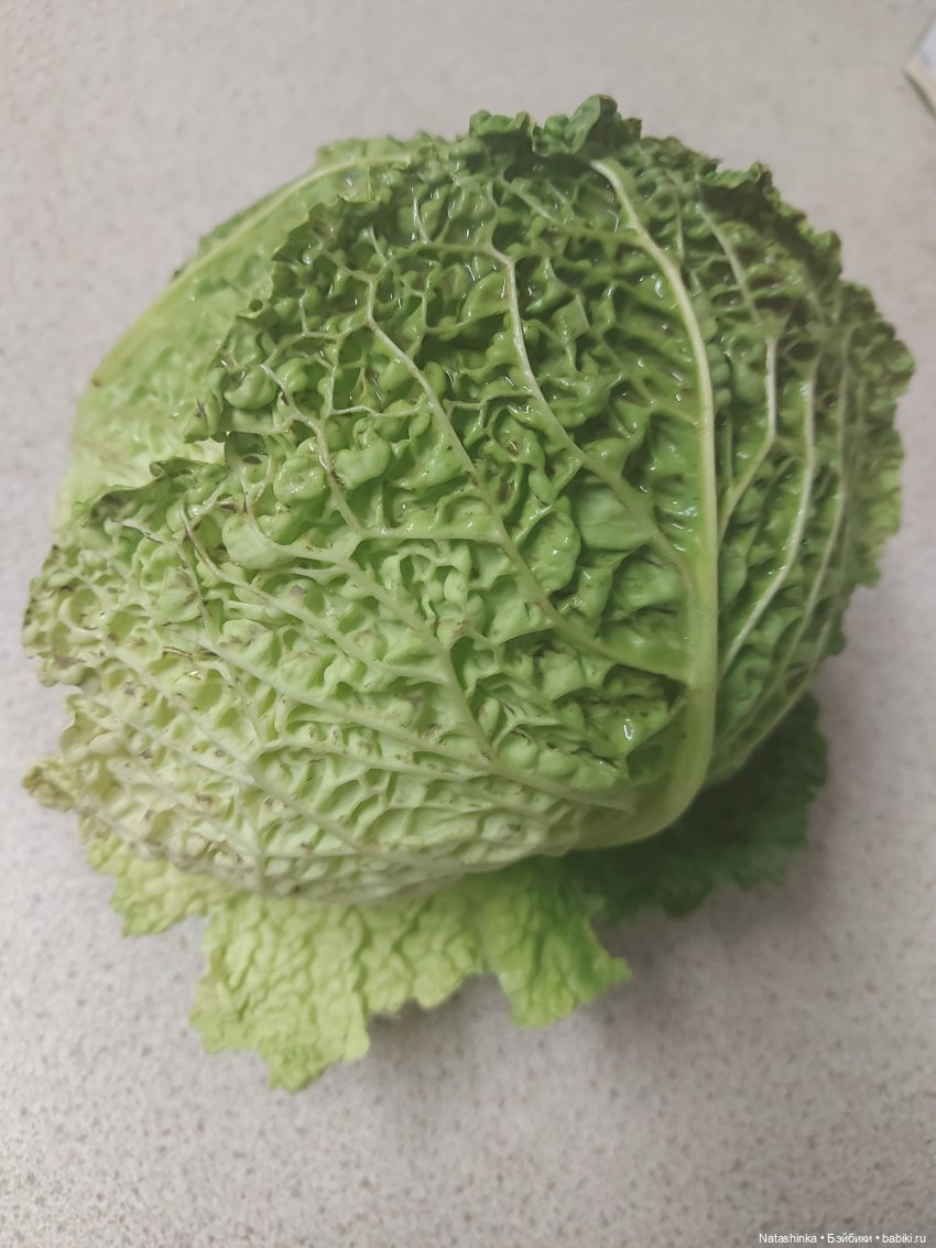 Fashion Dolls 445 — Туризм и путешествия: фотоотчеты из поездок (фото 6)