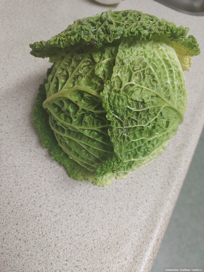 Fashion Dolls 445 — Туризм и путешествия: фотоотчеты из поездок (фото 5)