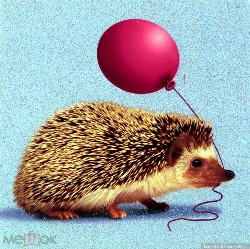 Fashion Dolls 487 — Туризм и путешествия: фотоотчеты из поездок