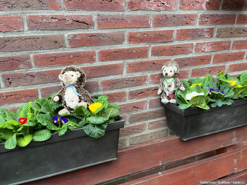 Fashion Dolls 487 — Туризм и путешествия: фотоотчеты из поездок