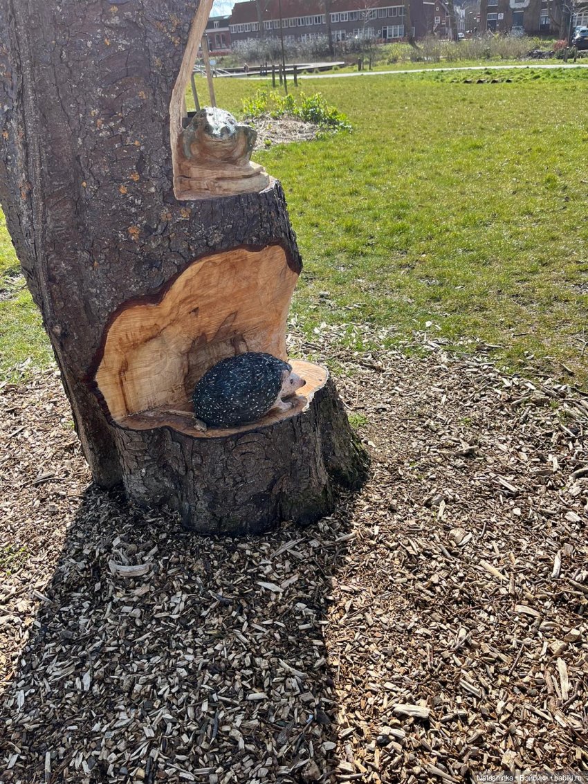 Fashion Dolls 487 — Туризм и путешествия: фотоотчеты из поездок