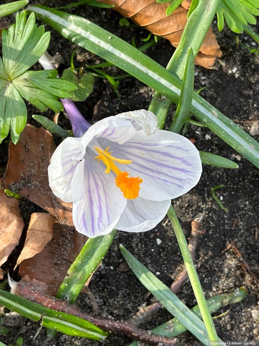 Fashion Dolls 487 — Туризм и путешествия: фотоотчеты из поездок