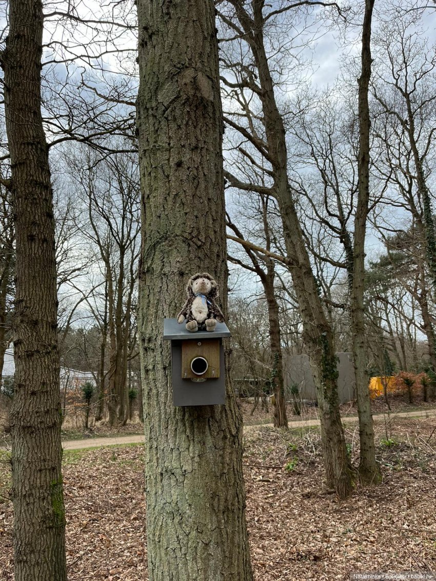 Fashion Dolls 487 — Туризм и путешествия: фотоотчеты из поездок (фото 8)