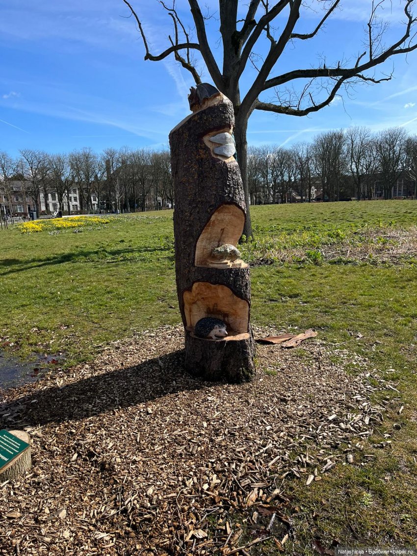 Fashion Dolls 487 — Туризм и путешествия: фотоотчеты из поездок