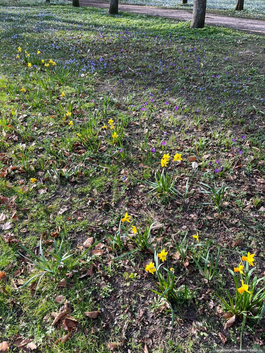 Fashion Dolls 487 — Туризм и путешествия: фотоотчеты из поездок