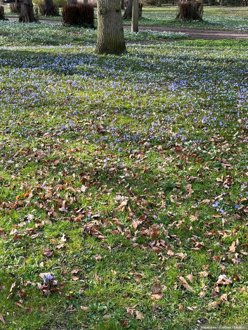 Fashion Dolls 487 — Туризм и путешествия: фотоотчеты из поездок (фото 10)