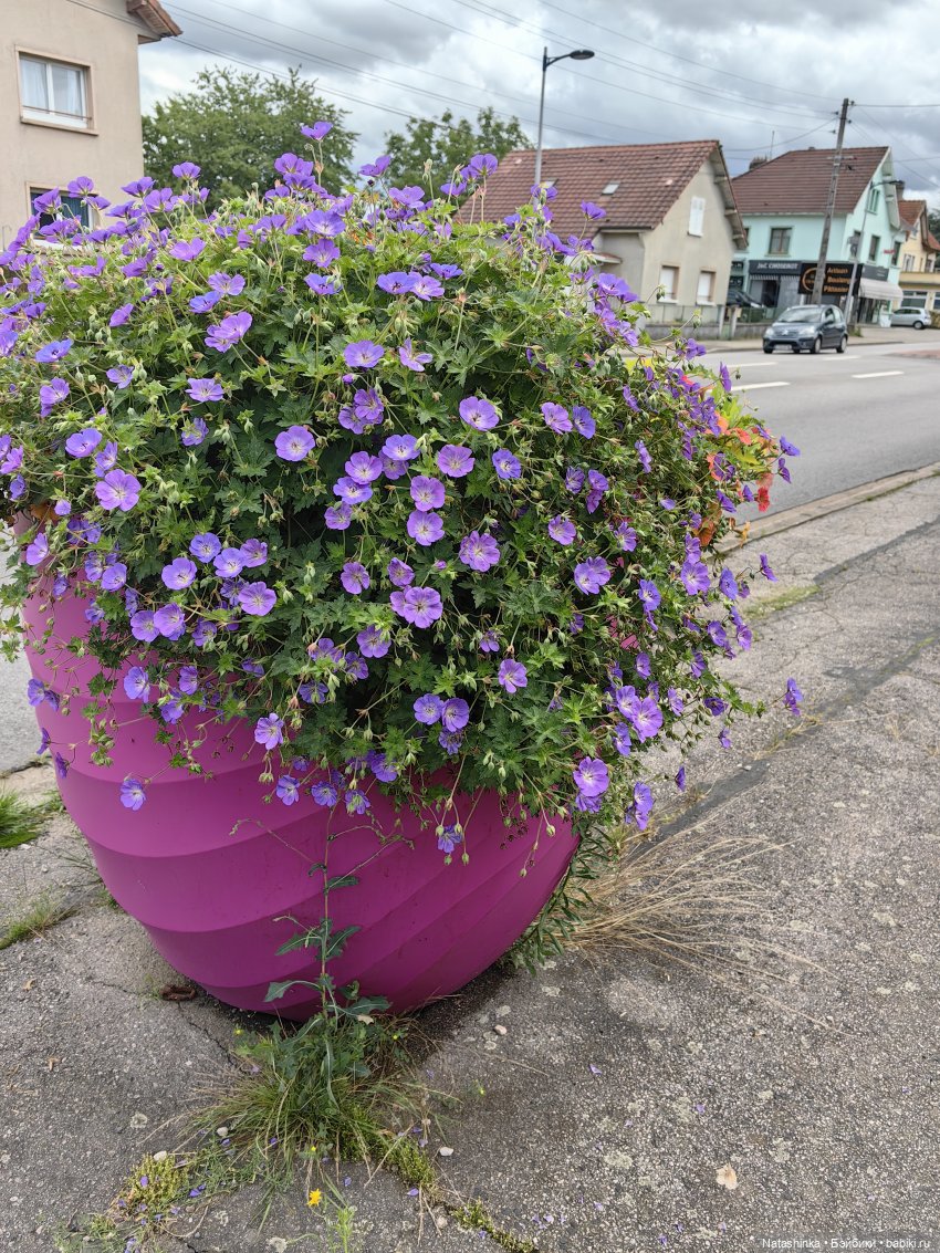 Fashion Dolls 532 — Туризм и путешествия: фотоотчеты из поездок