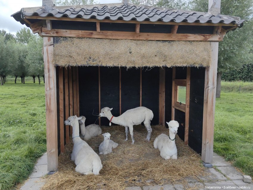 Музыкальная История 33 — Туризм и путешествия: фотоотчеты из поездок (фото 3)