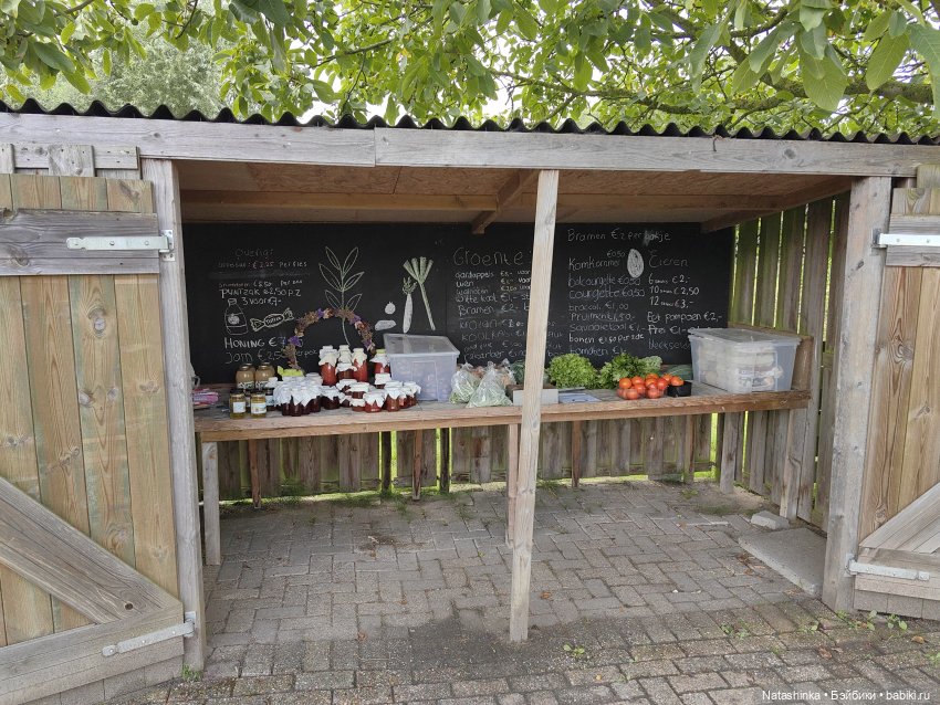 Музыкальная История 33 — Туризм и путешествия: фотоотчеты из поездок (фото 2)