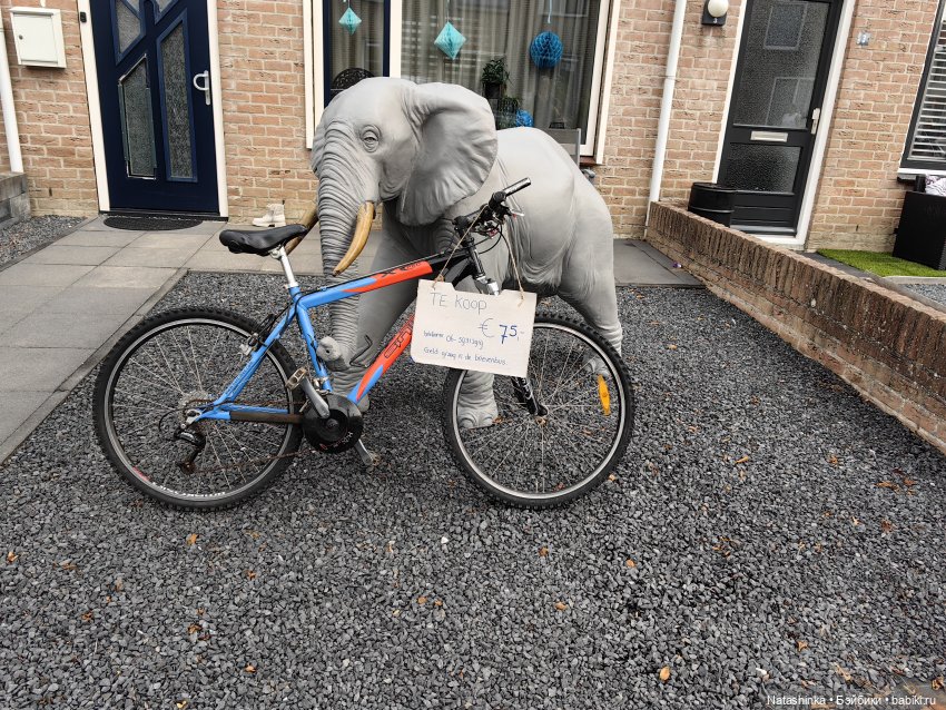 Музыкальная История 34 — Туризм и путешествия: фотоотчеты из поездок