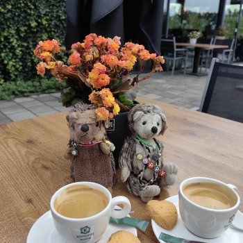 Музыкальная История 34