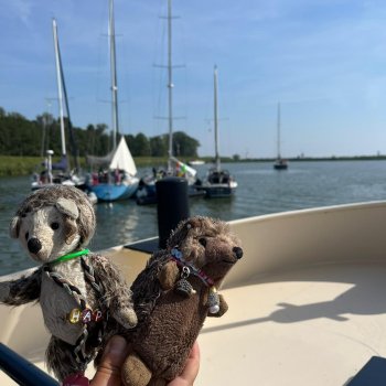 Музыкальная История 39