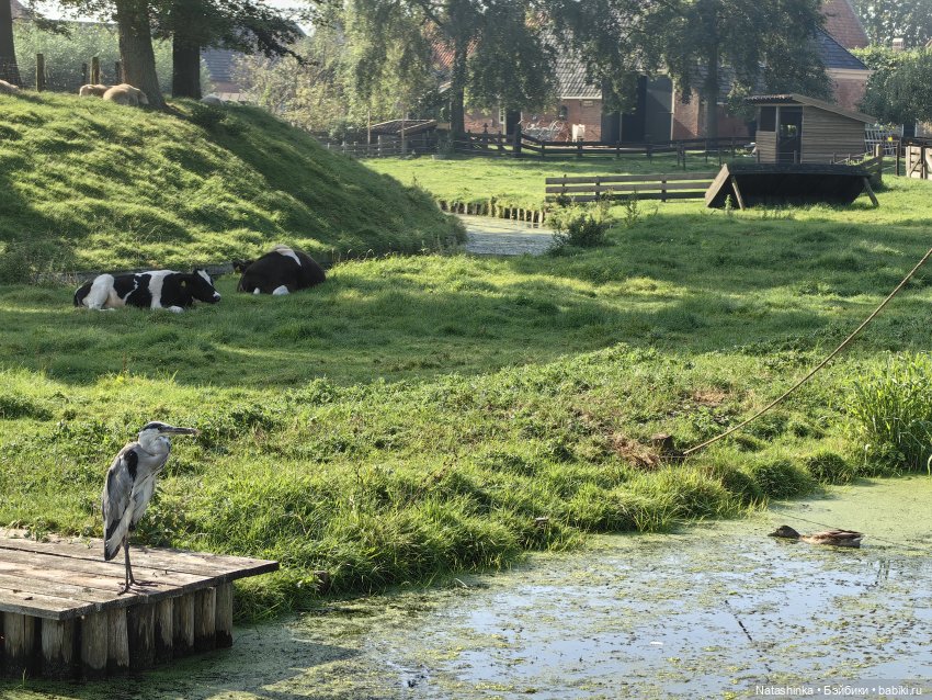 Музыкальная История 40 — Туризм и путешествия: фотоотчеты из поездок