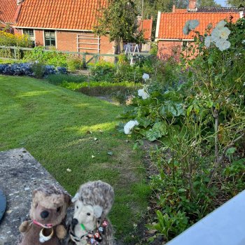 Музыкальная История 40