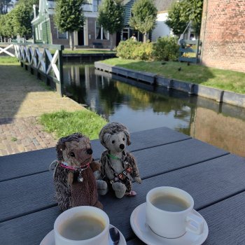 Музыкальная История 41