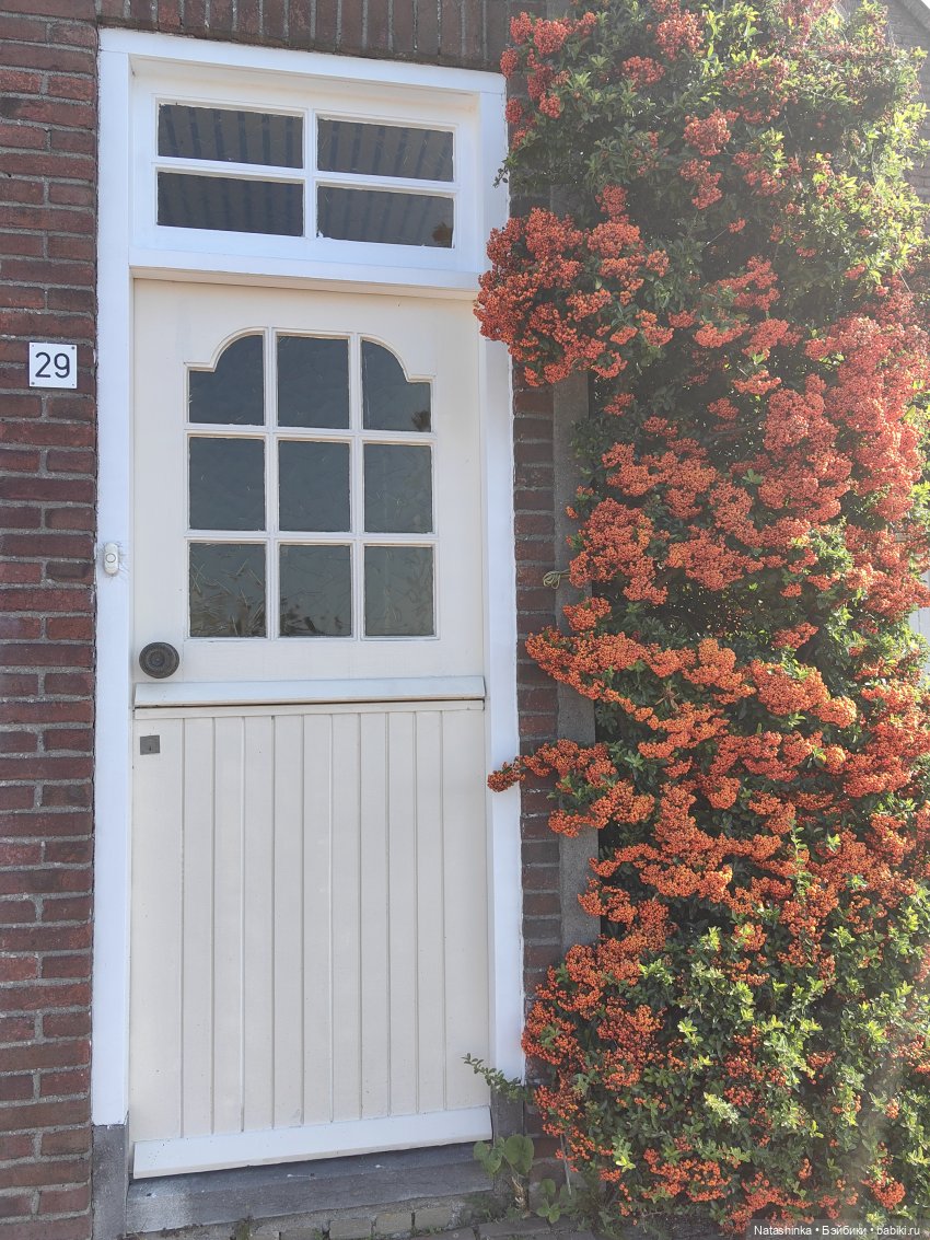 Музыкальная История 43 — Туризм и путешествия: фотоотчеты из поездок